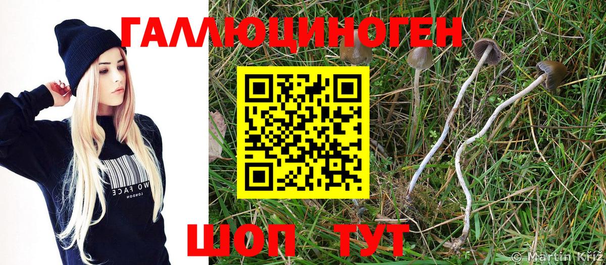 Галлюциногенные грибы MAGIC MUSHROOMS Нерюнгри