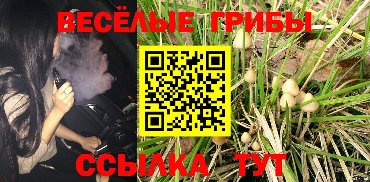 Псилоцибиновые грибы мухоморы  Псилоцибиновые грибы ЛСД  Нерюнгри  Вход с VPN 